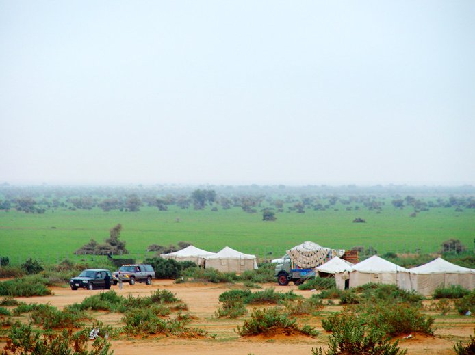 رافعات وبوبكات حفر الباطن